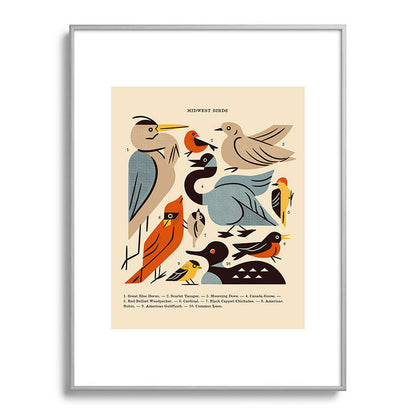 Midwest Birds Guide Framed Art Print Gallery Image 134
