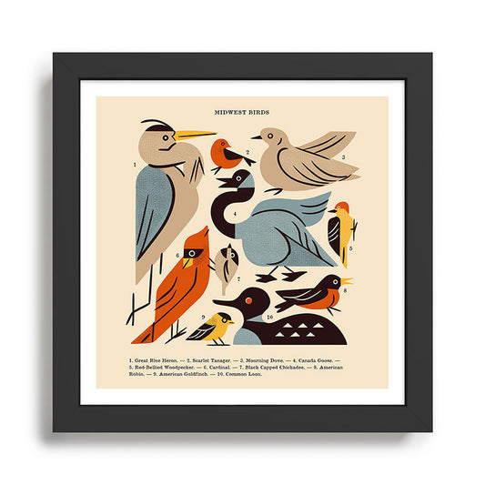Midwest Birds Guide Framed Art Print Gallery Image 2