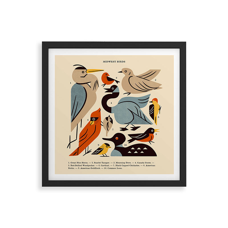 Midwest Birds Guide Framed Art Print Gallery Image 7