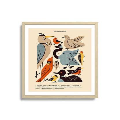 Midwest Birds Guide Framed Art Print Gallery Image 27