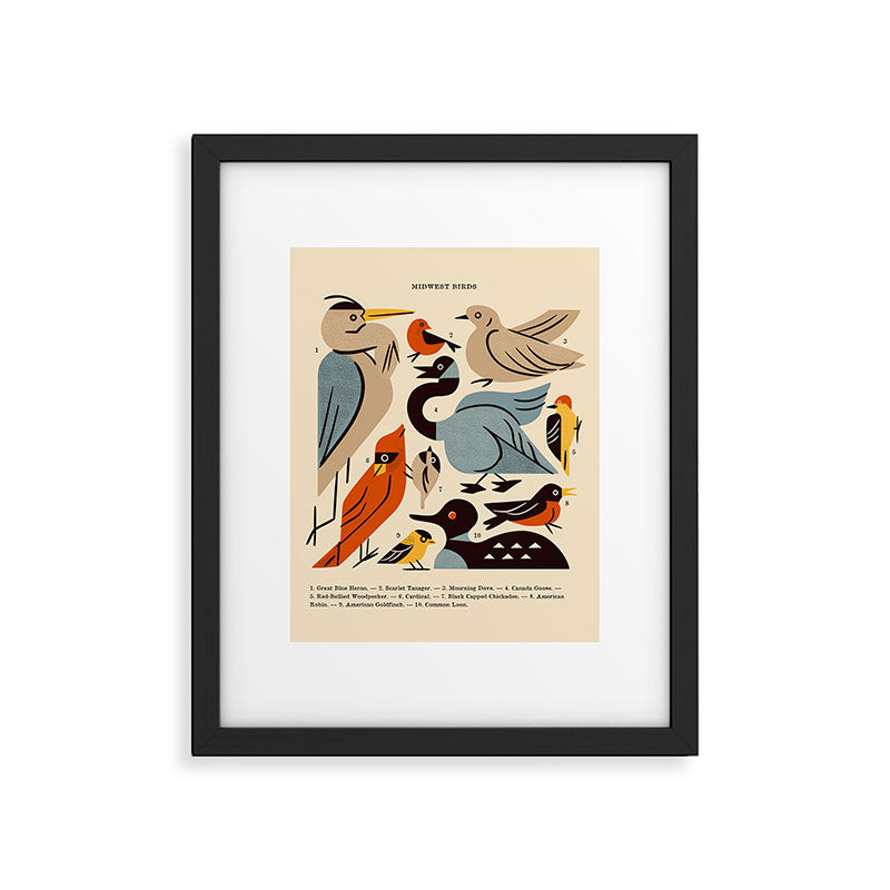 Midwest Birds Guide Framed Art Print Gallery Image 6