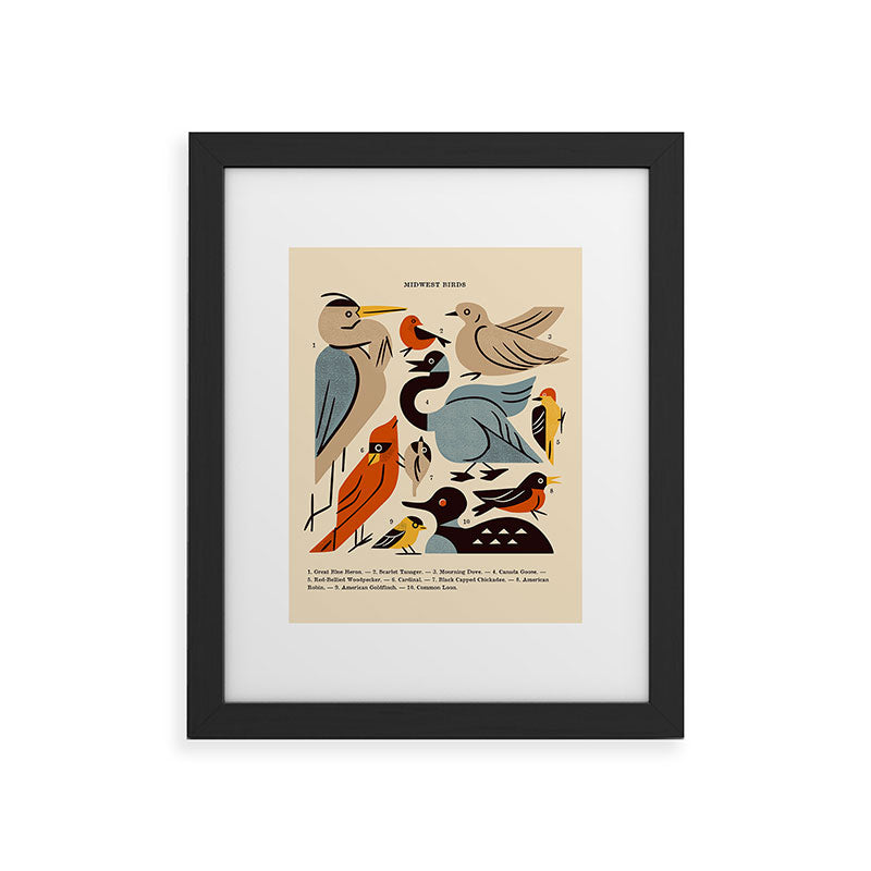 Midwest Birds Guide Framed Art Print Gallery Image 41