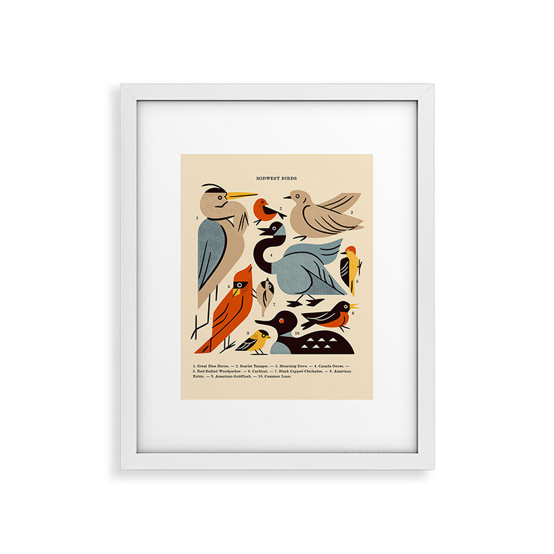 Midwest Birds Guide Framed Art Print Gallery Image 36
