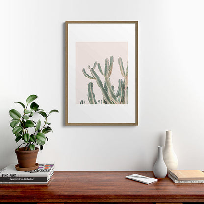 Sunrise Cactus Framed Art Print Gallery Image 13