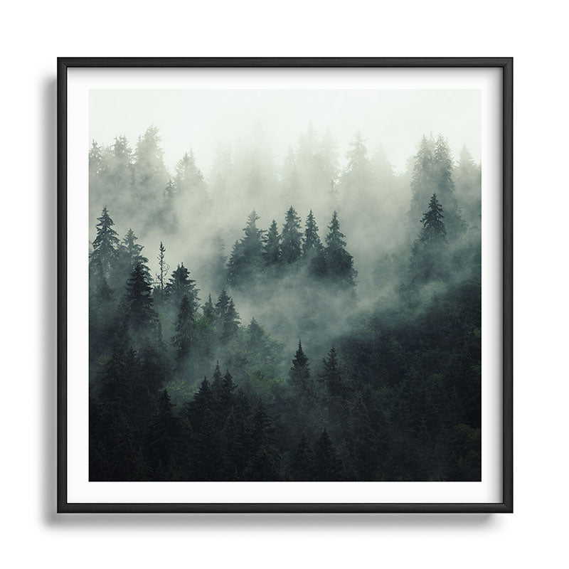 Green misty mountain pine forest in cloudy and rainy - vintage style photo Framed Art Print Gallery Image 122