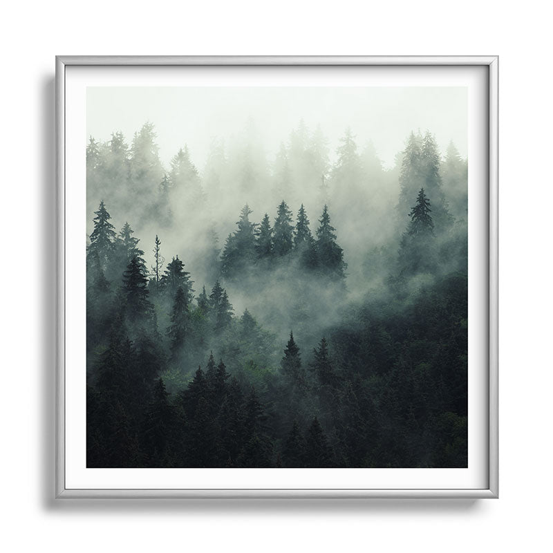 Green misty mountain pine forest in cloudy and rainy - vintage style photo Framed Art Print Gallery Image 140