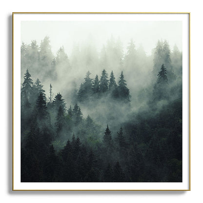 Green misty mountain pine forest in cloudy and rainy - vintage style photo Framed Art Print Gallery Image 139
